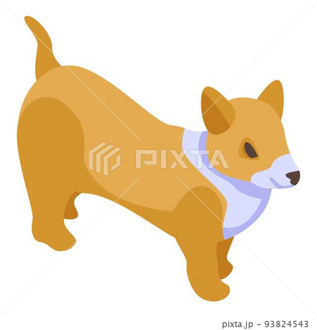 Funny corgi dog icon, isometric style 93824543