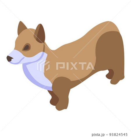 Domestic corgi dog icon, isometric style Domestic corgi dog icon, isometric style 93824545