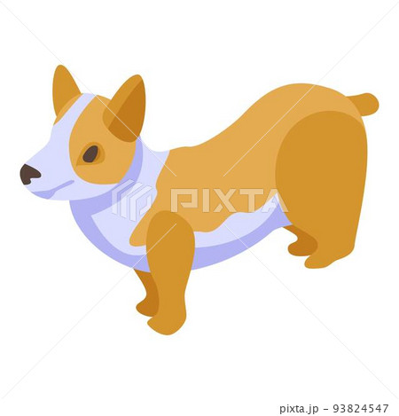 Animal corgi dog icon, isometric style Animal corgi dog icon, isometric style 93824547