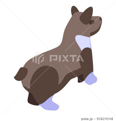 Brown corgi dog icon, isometric style Brown corgi dog icon, isometric style 93824548