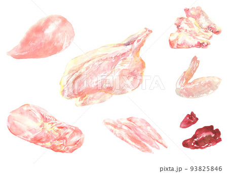 水彩で描いた鶏肉のイラストセット 93825846