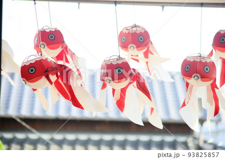金魚ちょうちん 93825857