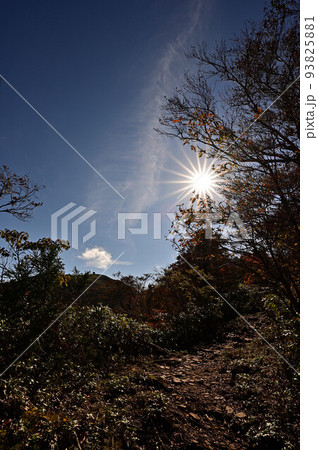 氷ノ山の紅葉 氷ノ山の紅葉 93825881
