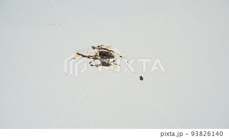 車のボンネットに付着して乾燥した鳥の糞 93826140