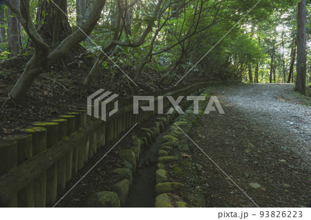 210928城山公園z028 210928城山公園z028 93826223