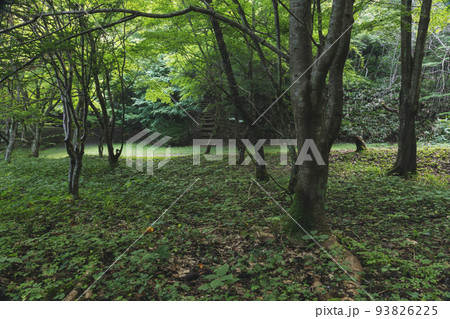 210928城山公園z007 93826225