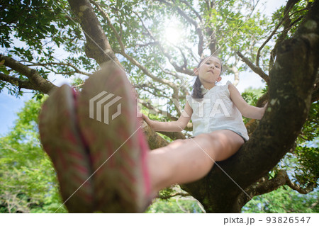 木登りをする少女 93826547