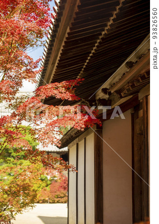 秋の宝福寺 秋の宝福寺 93826560