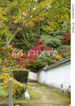 宝福寺の紅葉 93826562