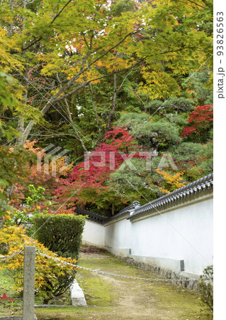 秋の宝福寺 秋の宝福寺 93826563