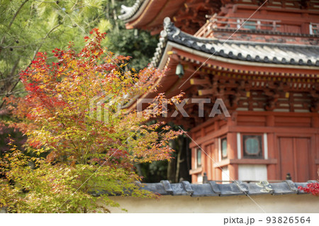井山宝福寺の秋 93826564