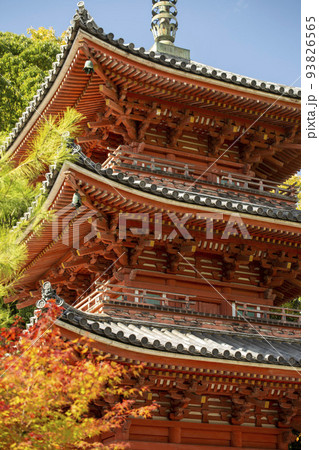 秋の三重塔 秋の三重塔 93826565