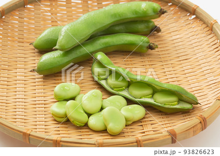 そら豆　そらまめ　空豆　蚕豆　ソラマメ 93826623