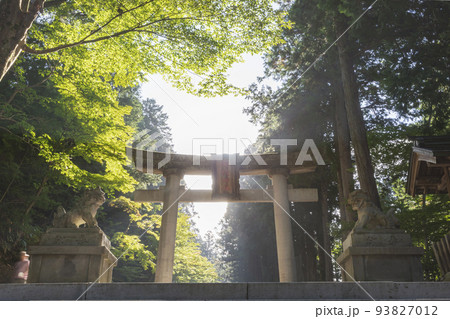 210930日枝神社z066 93827012