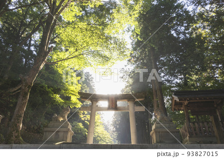 210930日枝神社z047 210930日枝神社z047 93827015
