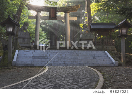 210930日枝神社z005 210930日枝神社z005 93827022