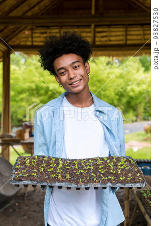 Man in the vegetable garden. Man planting seeds and seedlings in vegetable garden Man in the vegetable garden. Man planting seeds and seedlings in vegetable garden 93827530