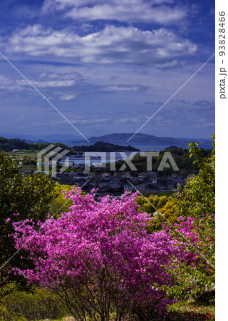 ♯蕪崎園地 ♯蕪崎園地展望台 ♯牛窓 ♯瀬戸内海国立公園 ♯前島 ♯蕪崎園地 ♯蕪崎園地展望台 ♯牛窓 ♯瀬戸内海国立公園 ♯前島 93828466