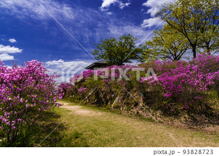 ♯蕪崎園地　♯蕪崎園地展望台　♯牛窓　♯瀬戸内海国立公園　♯前島 93828723