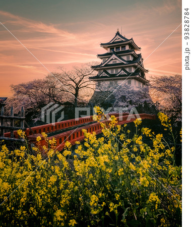 一夜城の春の夕暮 一夜城の春の夕暮 93828784