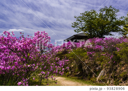 ♯蕪崎園地 ♯蕪崎園地展望台 ♯牛窓 ♯瀬戸内海国立公園 ♯亀山公園 ♯望洋亭 ♯蕪崎園地 ♯蕪崎園地展望台 ♯牛窓 ♯瀬戸内海国立公園 ♯亀山公園 ♯望洋亭 93828906