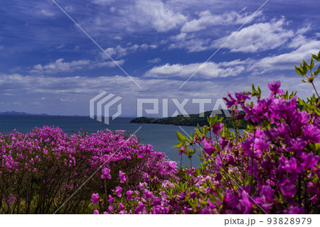 ♯蕪崎園地 ♯蕪崎園地展望台 ♯牛窓 ♯瀬戸内海国立公園 ♯前島 ♯蕪崎園地 ♯蕪崎園地展望台 ♯牛窓 ♯瀬戸内海国立公園 ♯前島 93828979