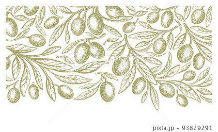 Green mediterranean olives, oil. Vector background 93829291