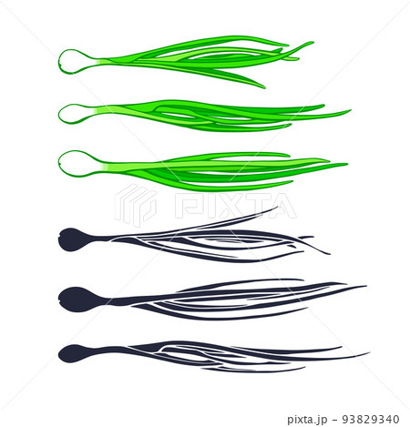 Onion set. Green leaves Onion set. Green leaves 93829340