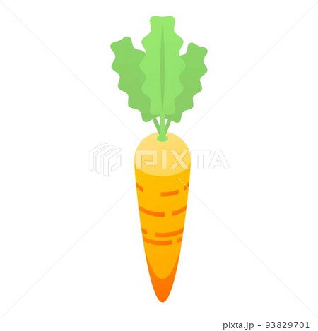 Fresh eco carrot icon, isometric style 93829701