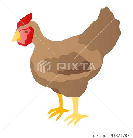 Farm chicken icon, isometric style 93829703