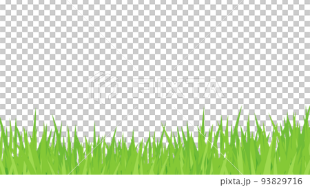 雜草 line_frame_16:9 雜草 line_frame_16:9 93829716