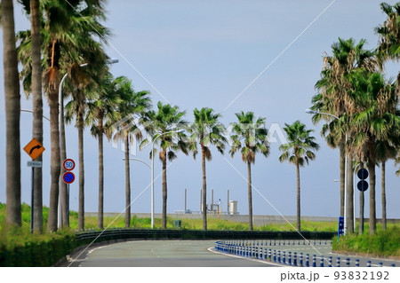 浦安のヤシの木の風景 浦安のヤシの木の風景 93832192