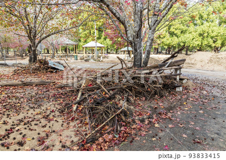 Photograph of damage in Wisemans Ferry Park Reserve after flooding in the Hawkesbury river in Australia Photograph of damage in Wisemans Ferry Park Reserve after flooding in the Hawkesbury river in Australia 93833415