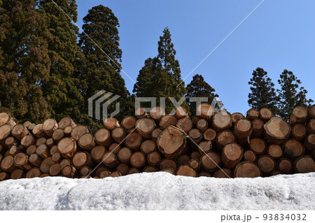 切り出された杉の丸太 降雪風景 93834032