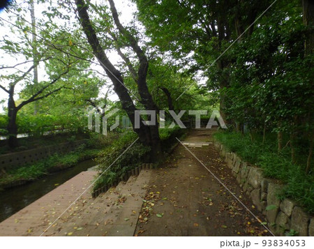 二ヶ領用水にかりょうようすい 川崎市  多摩川を水源  古い人工用水路   全長約32km　国の登録 93834053