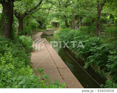 二ヶ領用水にかりょうようすい 川崎市  多摩川を水源  古い人工用水路   全長約32km　国の登録 93834058