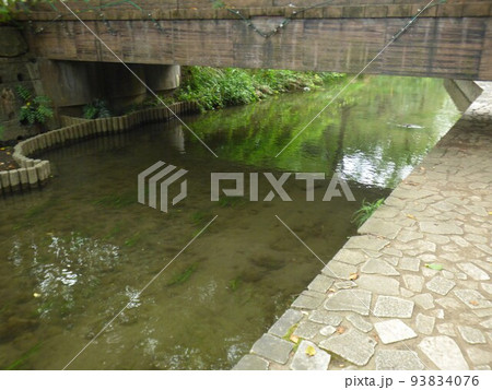 二ヶ領用水にかりょうようすい 川崎市 多摩川を水源 古い人工用水路 全長約32km 国の登録 二ヶ領用水にかりょうようすい 川崎市 多摩川を水源 古い人工用水路 全長約32km 国の登録 93834076