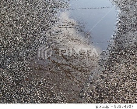 水たまりに映る枝 93834907