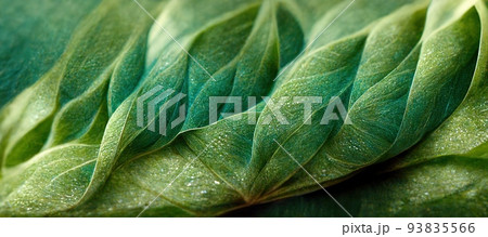 Spectacular green leaf with realistic texture reveal. Digital 3D illustration. Spectacular green leaf with realistic texture reveal. Digital 3D illustration. 93835566
