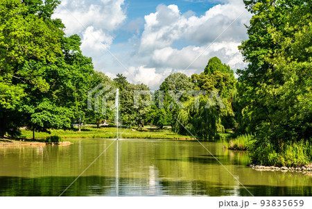 Swan Lake in Bad Homburg vor der Hoehe near Frankfurt, Germany 93835659
