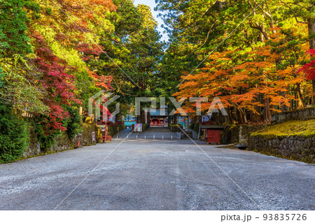 世界遺産「日光の社寺」構成資産　紅葉の日光東照宮　表参道 93835726