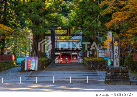 世界遺産「日光の社寺」構成資産　紅葉の日光東照宮　表参道 93835727