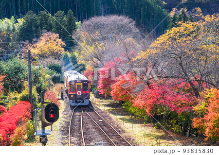 紅葉の中を走るわたらせ渓谷鐡道2 93835830