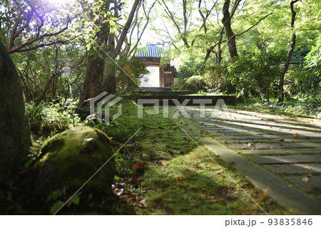 夏の延命寺 93835846