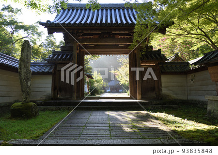 夏の延命寺の山門 夏の延命寺の山門 93835848