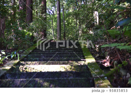 夏の延命寺の裏山への階段 夏の延命寺の裏山への階段 93835853