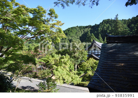 夏の延命寺と青空 93835991