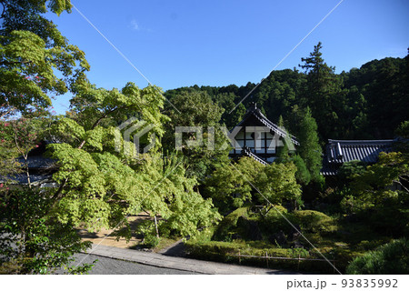 夏の延命寺と青空と緑 93835992