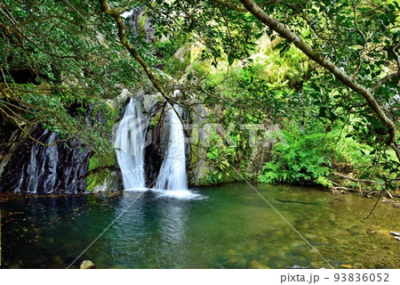 奄美大島 宇検村アランガチの滝 奄美大島 宇検村アランガチの滝 93836052
