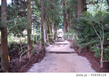 高天彦神社の山道 93836128